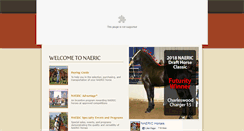 Desktop Screenshot of naeric.org